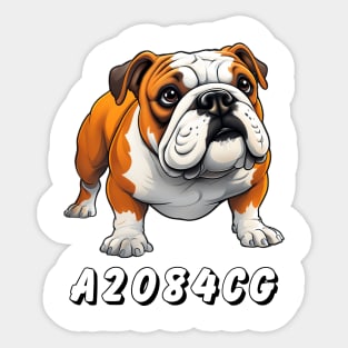 SUPPORT TOMMY – Stand for the Cause Sticker